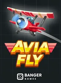 Avia Fly crash at 9333BD COM